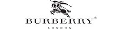 burberry logo
